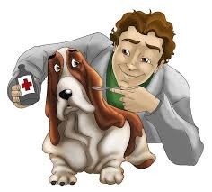 Veterinarian helping sick dog