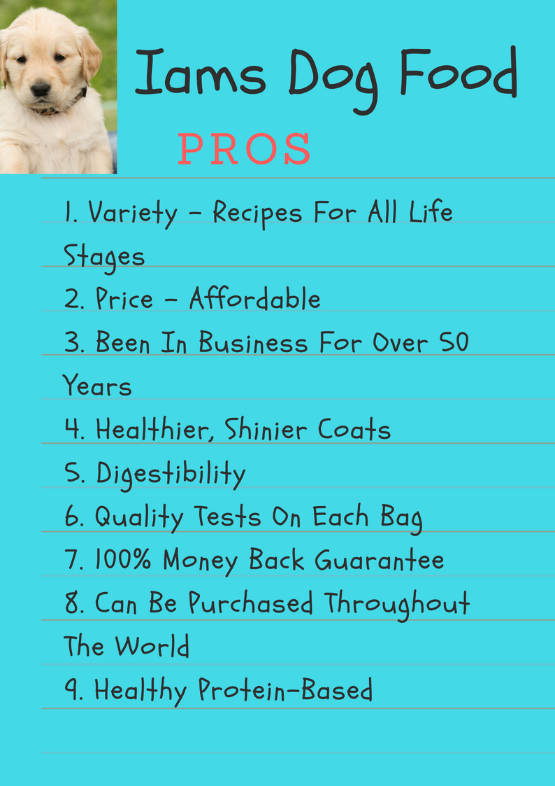 Are You Ready For Iams Dog Food? A Review Natural Dog Food Benefits