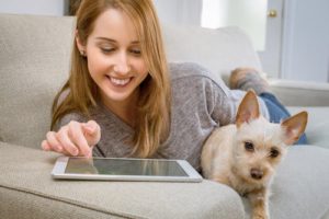 computer with dog