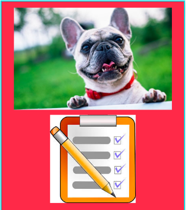 dog and checklist