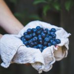 Grandma Lucy's Dog Treats - blueberries