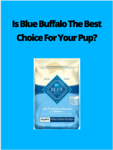 Blue Buffalo Puppy Food Review - Natural Dog Food Benefits