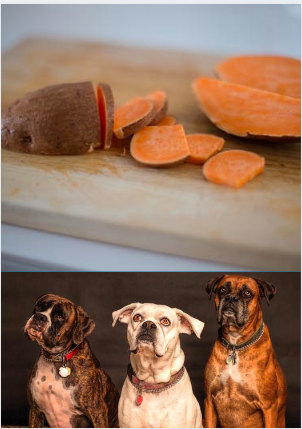 Sweet Potato In Dog Treats - Sweet Potatoes And Dogs