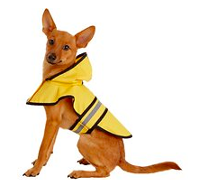 Best Dog Rain Gear - Dog Raincoat