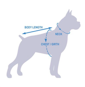 Best Dog Rain Gear - Dog Measurements