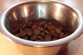 purina beyond dog food - bowl of dog food