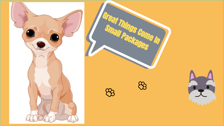 What Is The Best Dry Puppy Food? - two puppy dogs