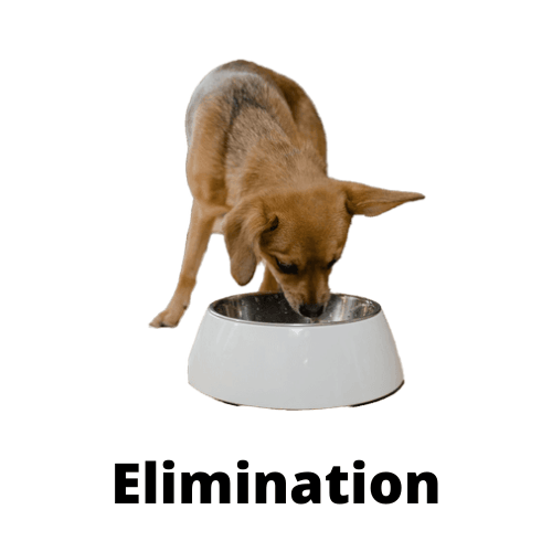 elimination trial diet