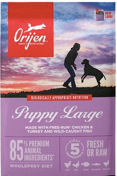 orijen large breeed puppy food