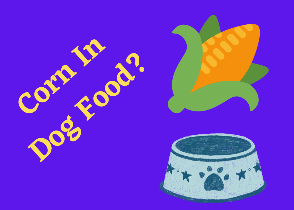 is corn bad in dog food