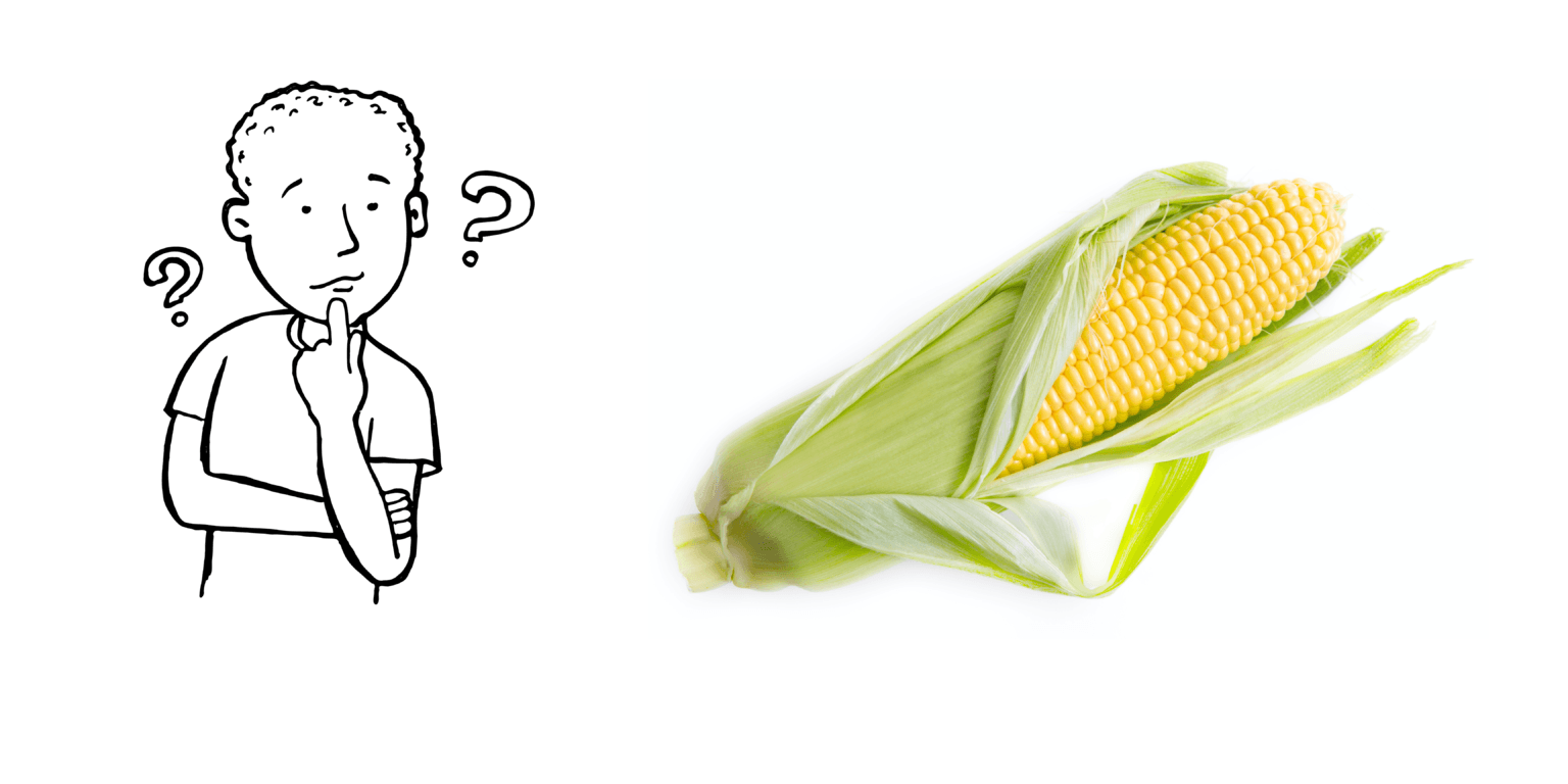 Why Is Corn In Dog Food Controversial And Risky? Natural Dog Food