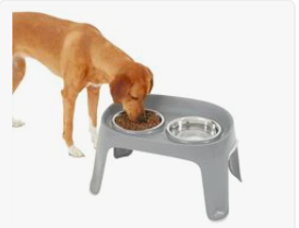 Frisco dog food and water bowls