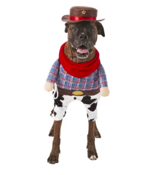 dog costume