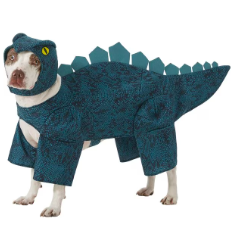 dog costume
