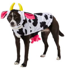 happy cow costume