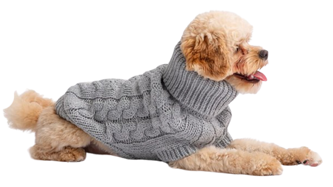 dog sweater