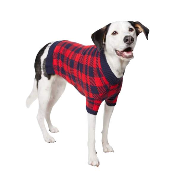 dog sweater