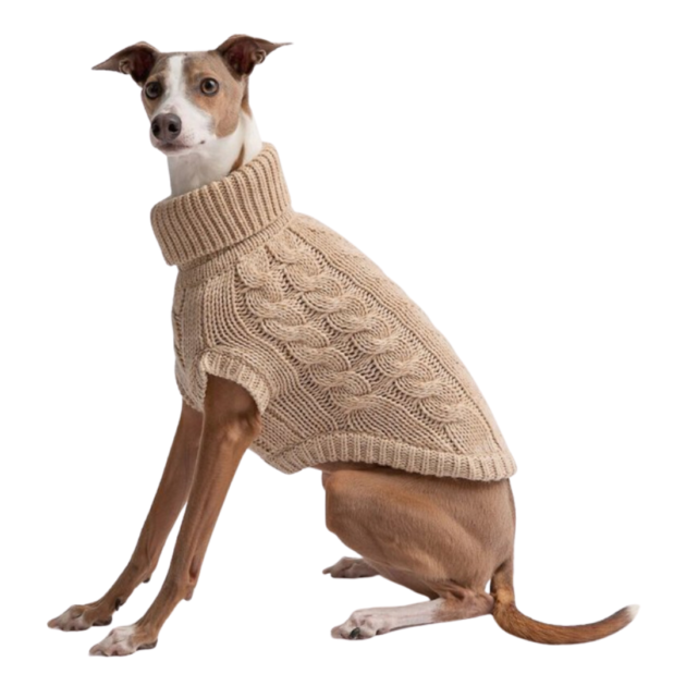 dog sweater