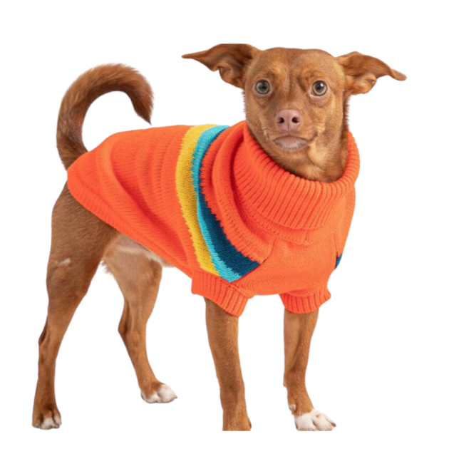 dog sweater