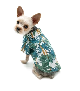 dog shirt