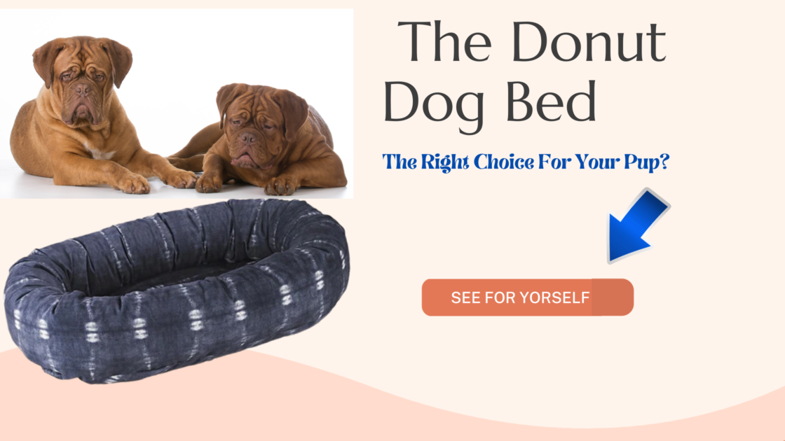 donut dog bed cta