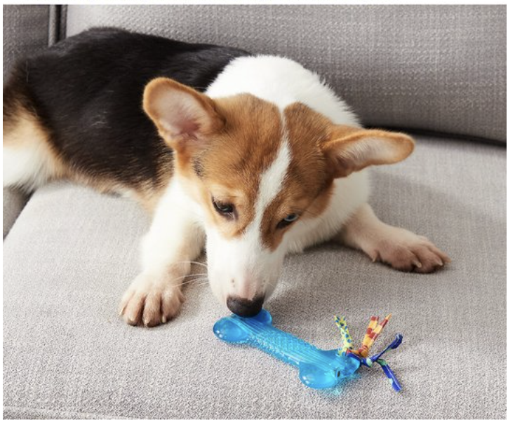 tough dog chews