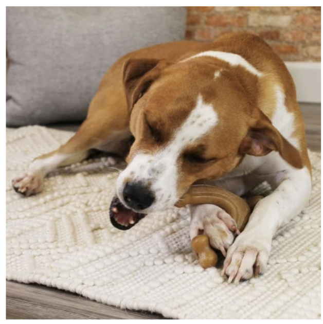 tough dog chew