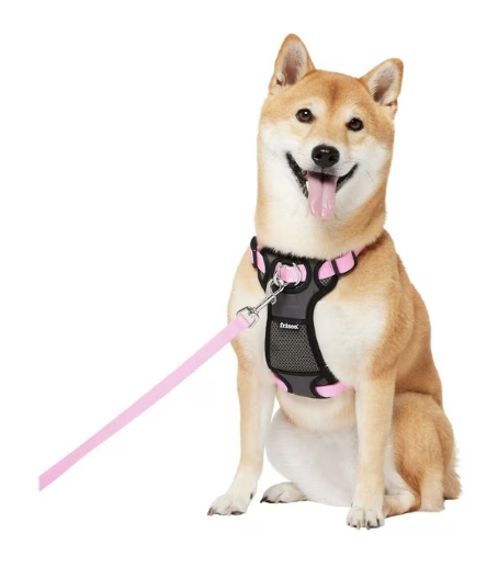 dog harness