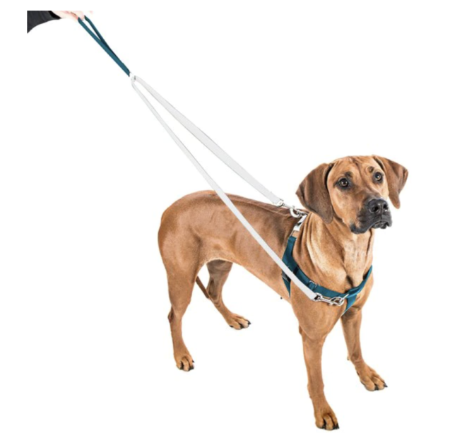 no pull dog harness