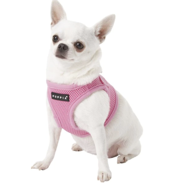 dog harness