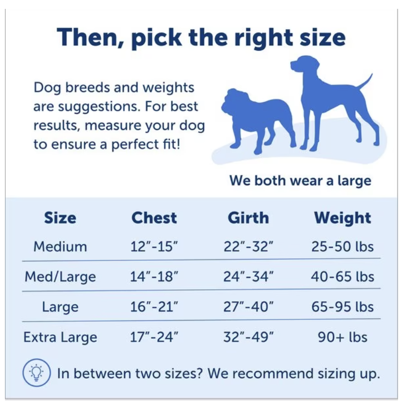 dog harness size chart