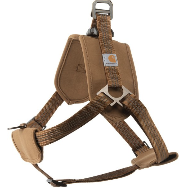 training dog collar