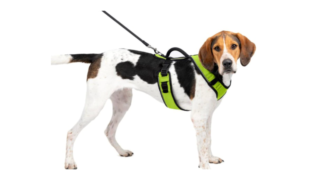 petsafe dog harness
