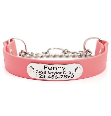 dog collar