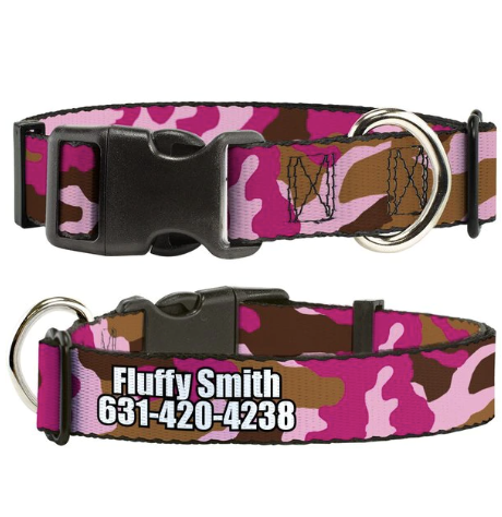 dog collar with name
