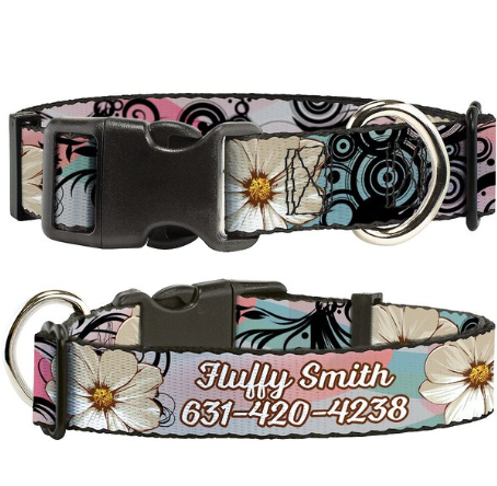 dog collar with name