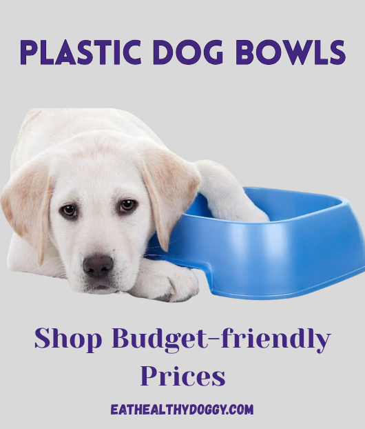 puppy putting his paw in a plastic dog bowl