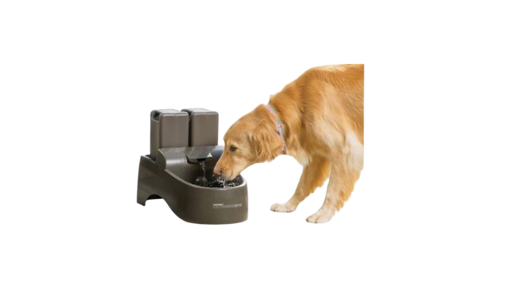 PetSafe Drinkwell Outdoor Plastic