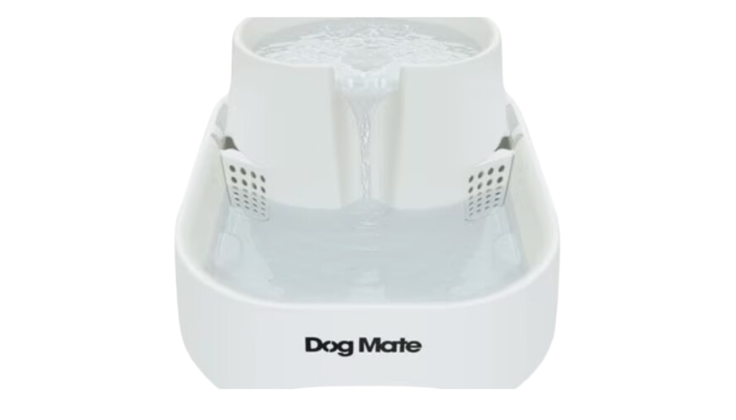 dog water fountain