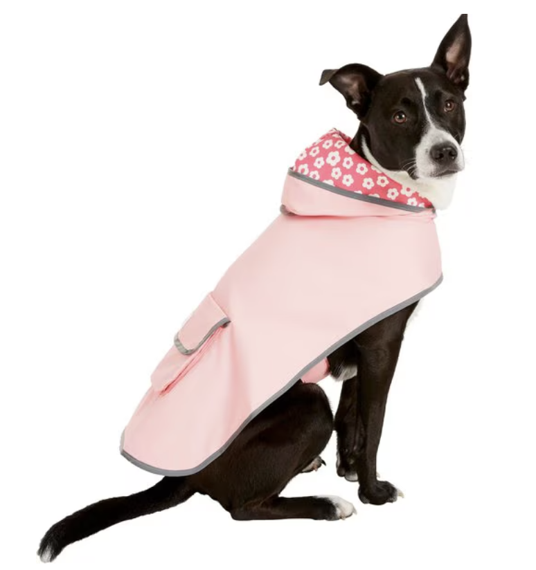 large dog jacket