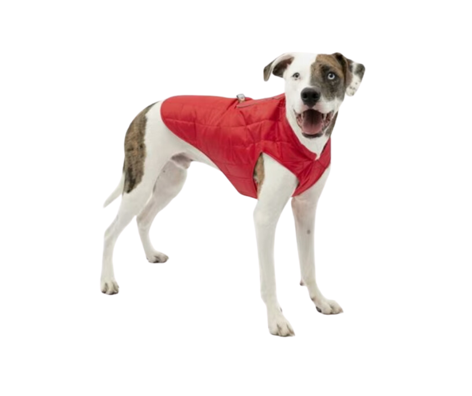 quilted dog coat