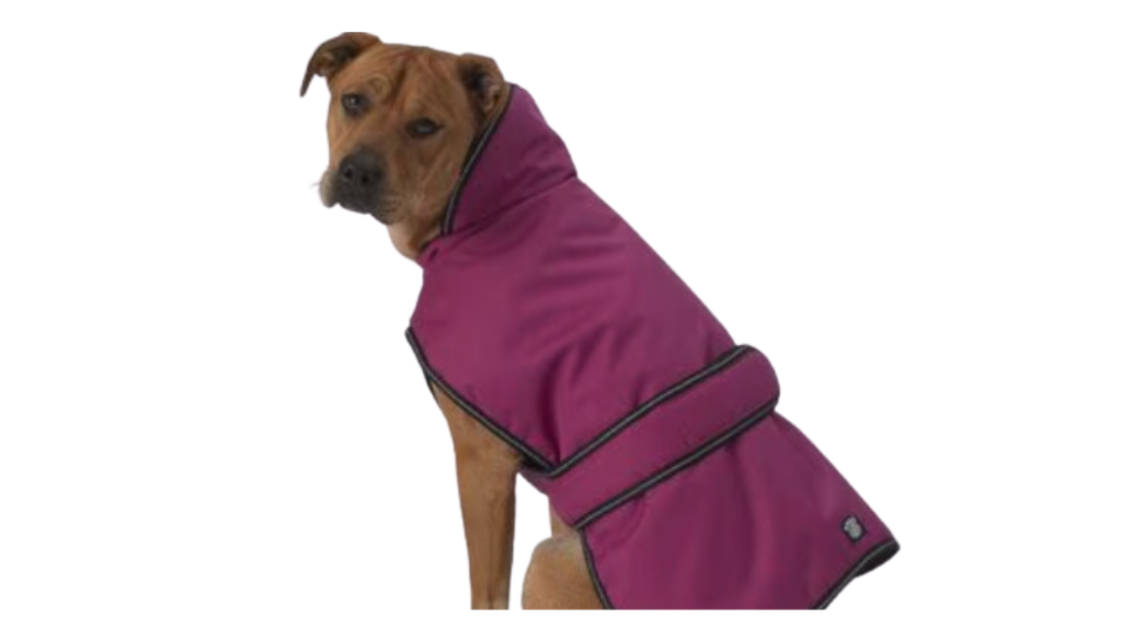 large dog jacket