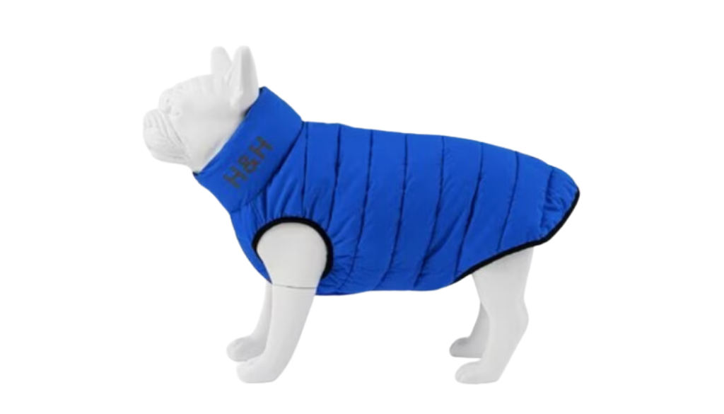 large dog jacket