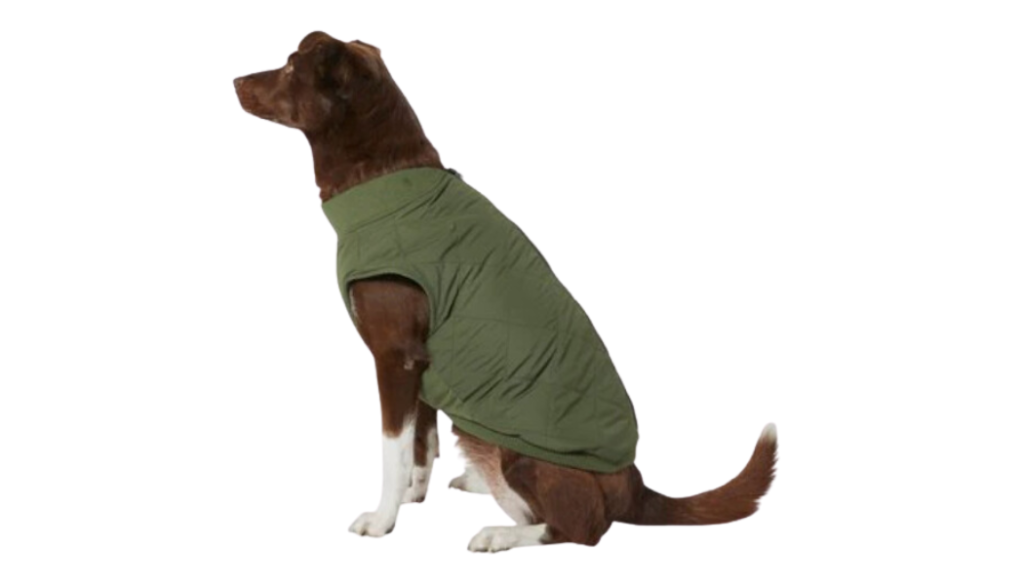 large dog jacket