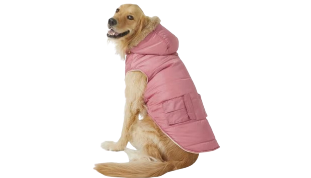 large dog jacket