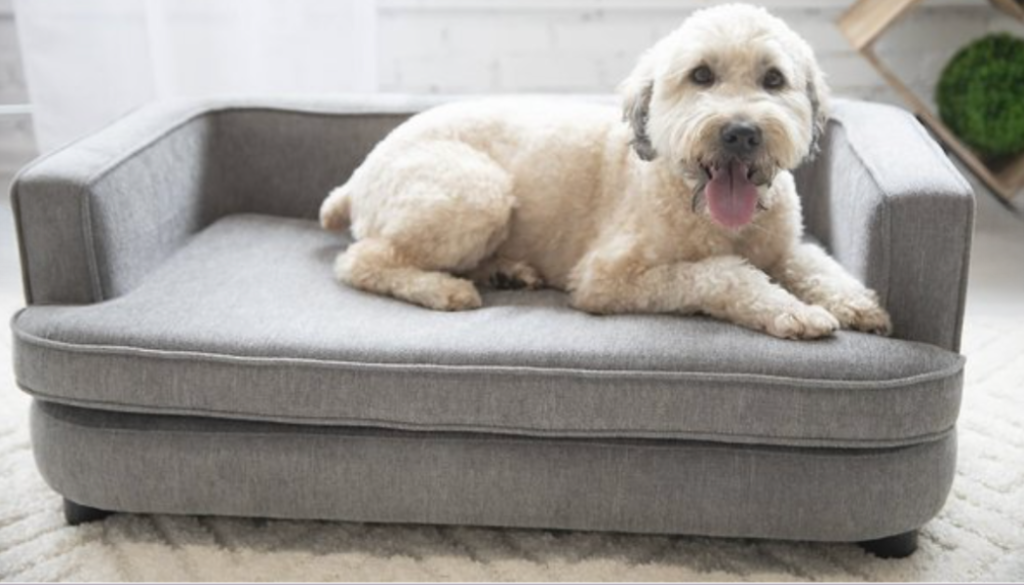 big dog laying on a large furniture dog sofa