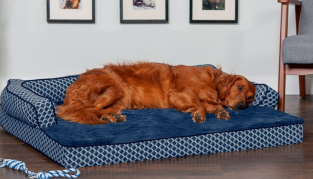 big dog laying on large dog sofa bed