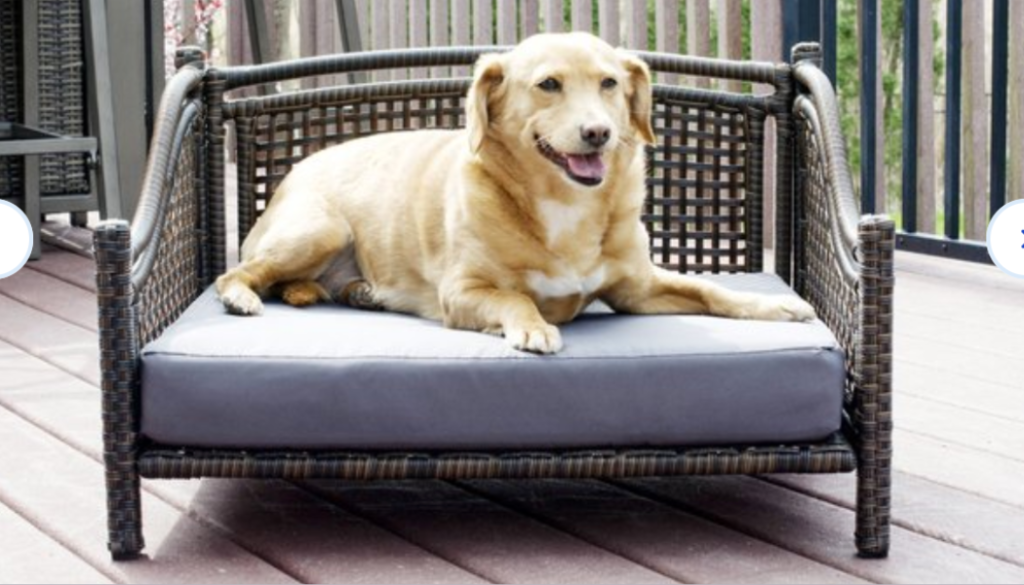 large dog laying on outdoor large dog sofa bed