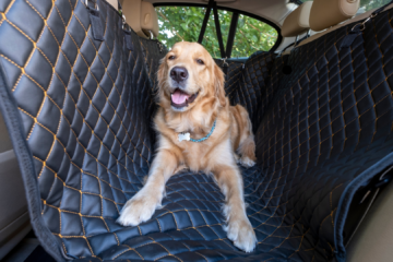 large dog laying down on a waterproof dog car seat protector