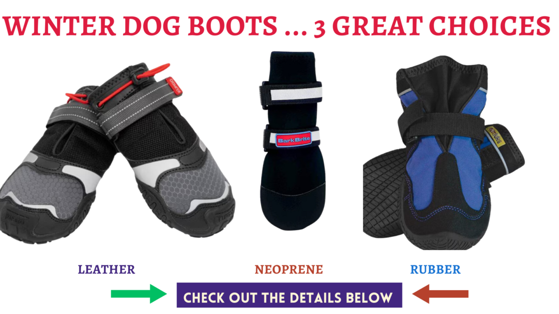 Best Winter Dog Boots